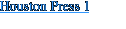 Houston Press 1