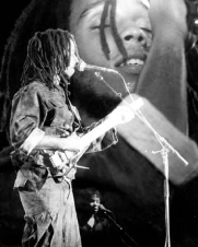 ziggy